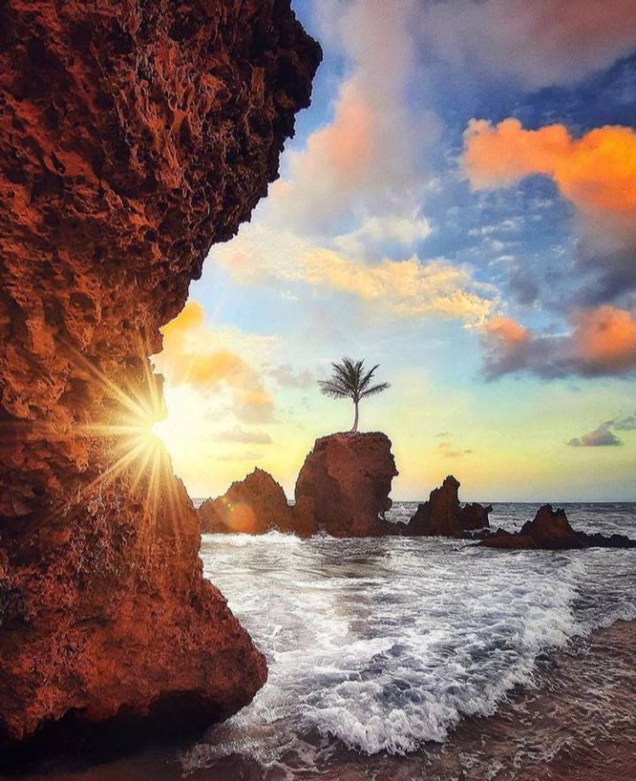 Social Praia do coqueirinho João pessoa pb