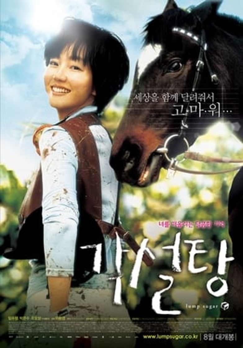Movie 각설탕