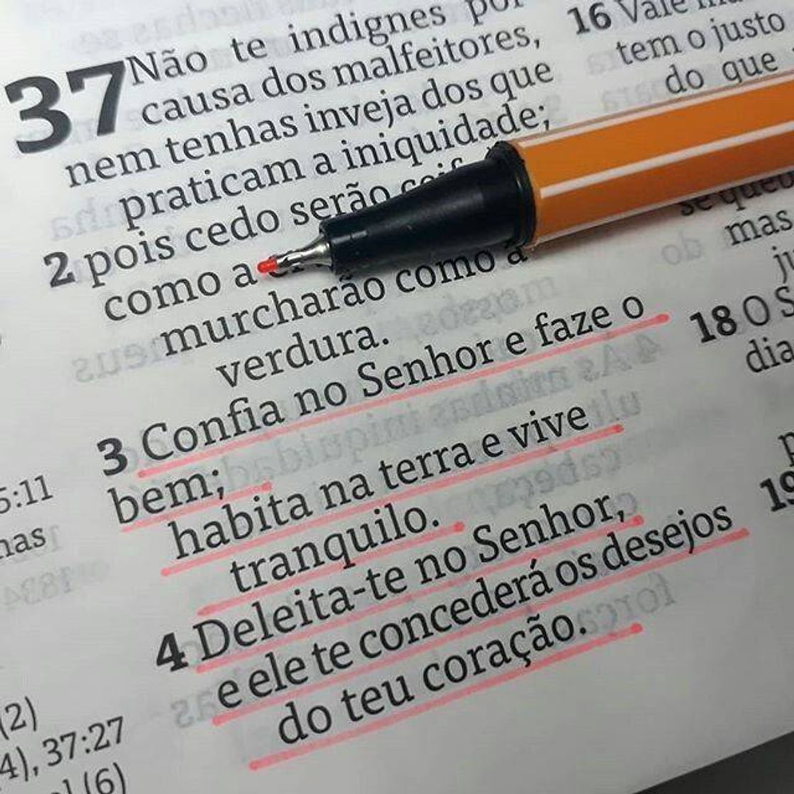 Moda Biblia