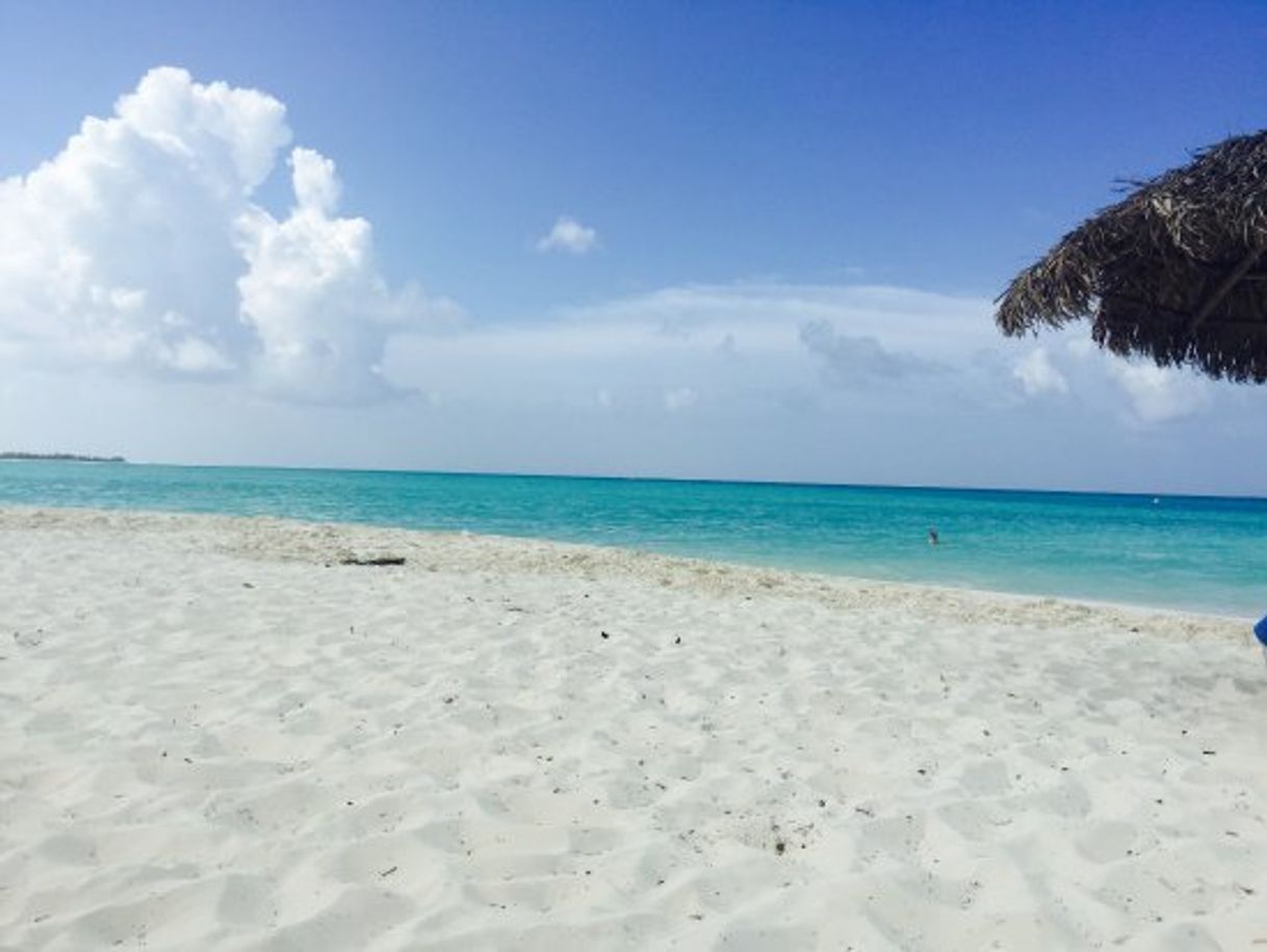 Place Playa Paraiso Beach, Cayo Largo, Cuba