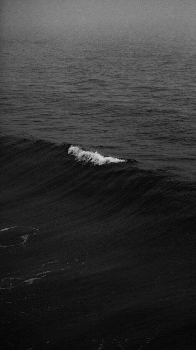 Social Oceano