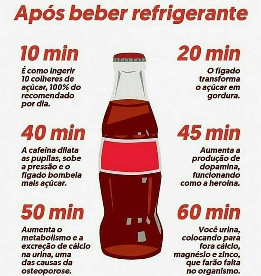 Moda Refrigerante