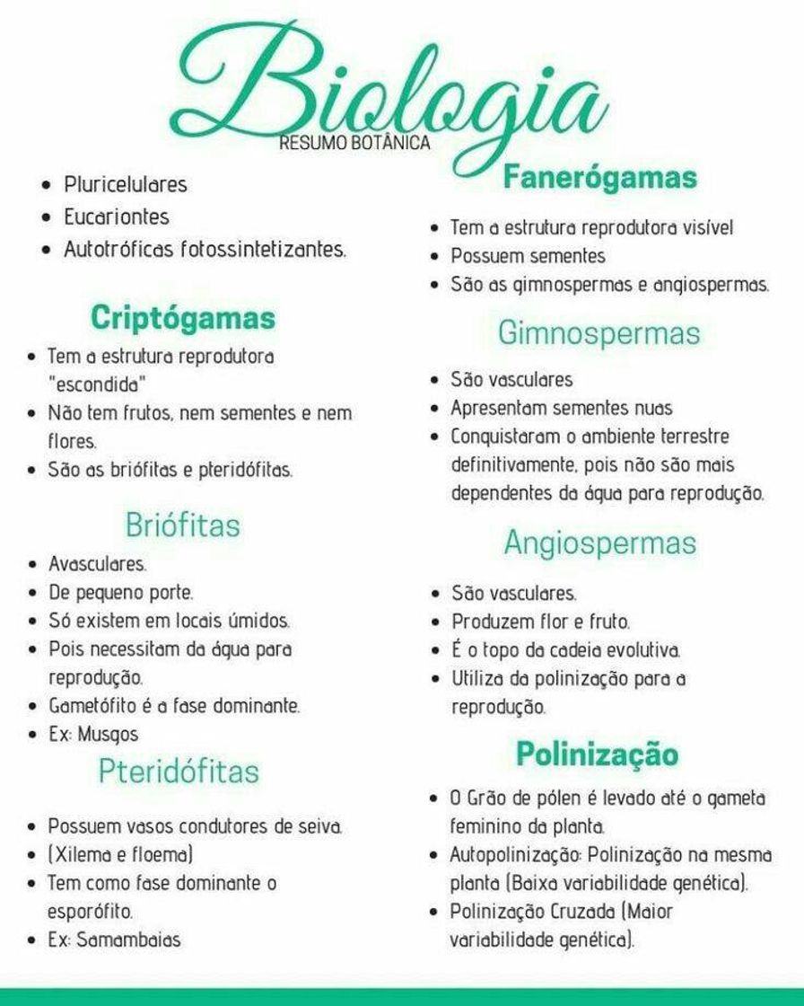 Moda 💹📃⏫📓📚📖