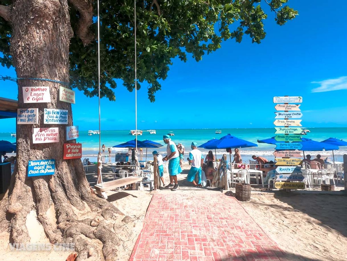 Place Maragogi - AL
