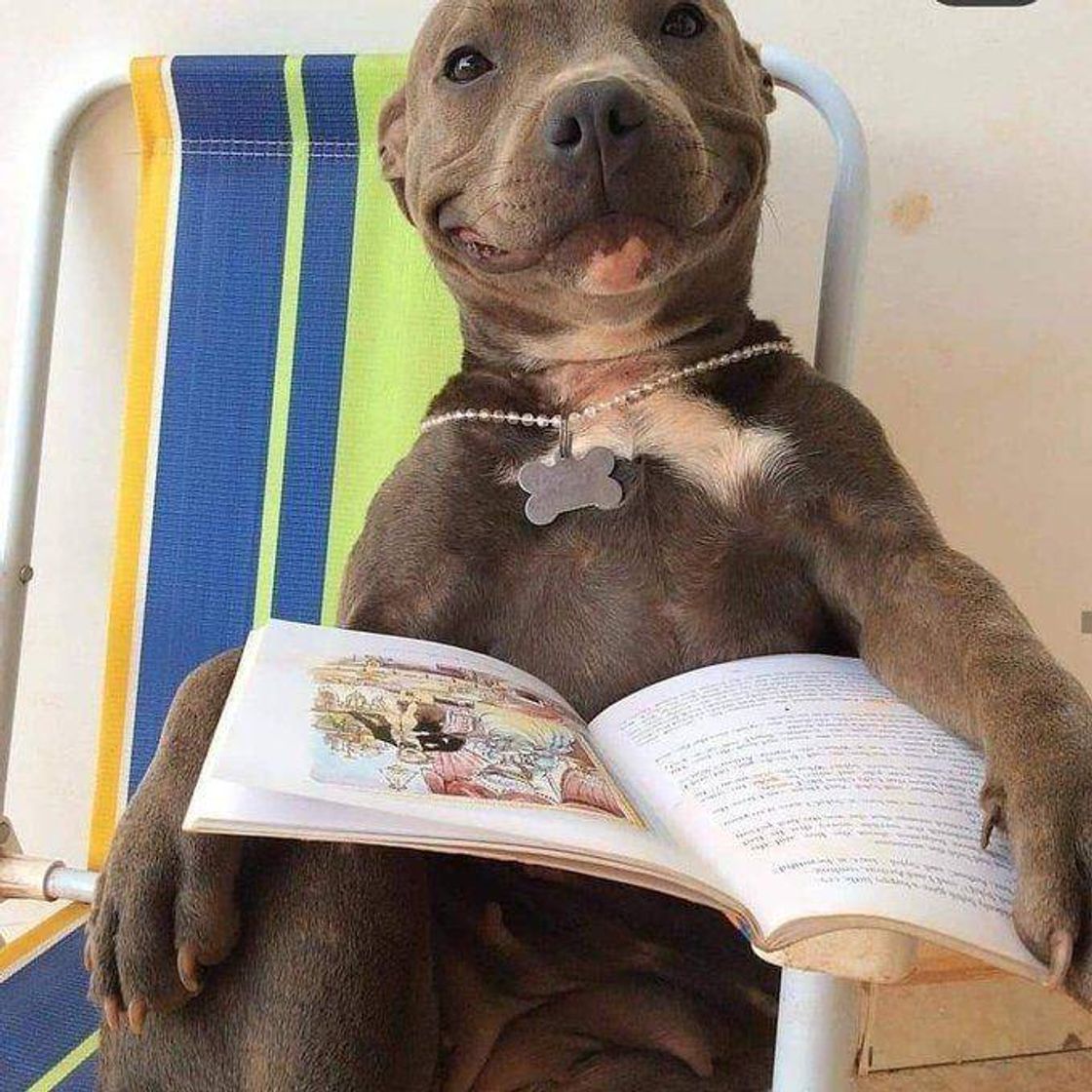 Social AMOUR POR LEITURA