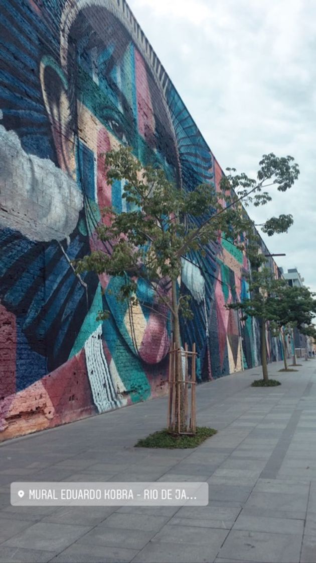 Place Rio de Janeiro