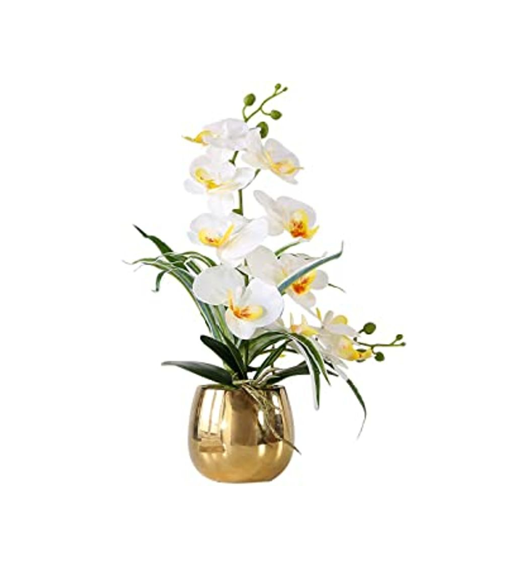 Producto Kisflower 12Pcs Flores de orquídeas Artificiales Flores de orquídeas Falsas de Seda