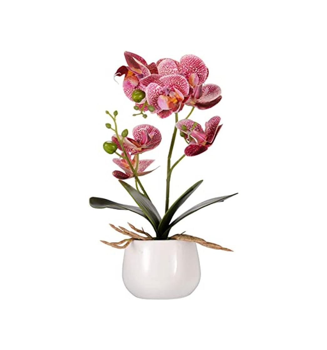 Product Asvert Phalaenopsis Bonsai de orquídeas de Flores Artificiales con jarrón de cerámica