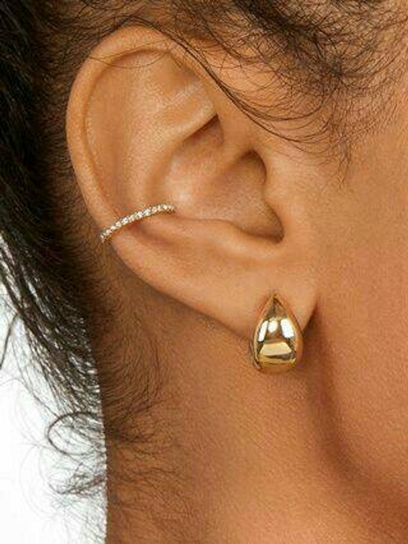 Social Conch