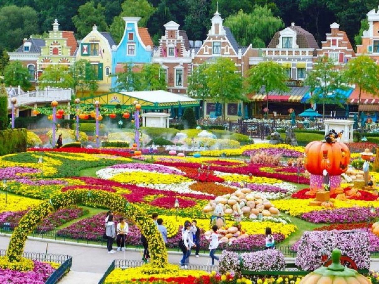 Places Everland Theme Park