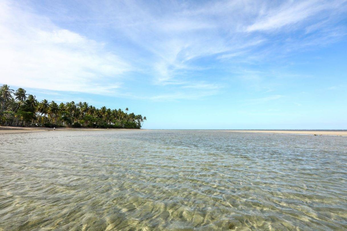 Lugar Bahia