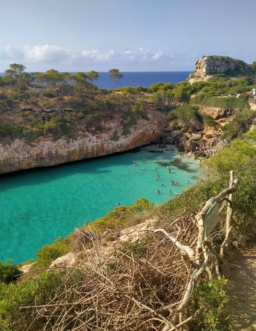 Lugar Cala Mondragó