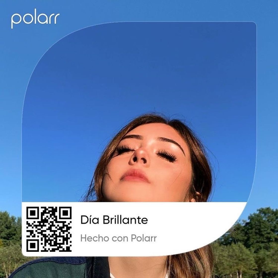 Fashion Filtros polar