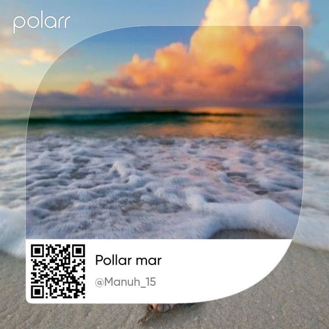 Fashion Filtros polar