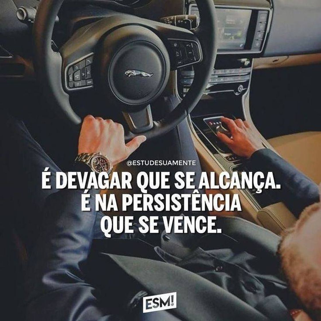 Social Motivação 