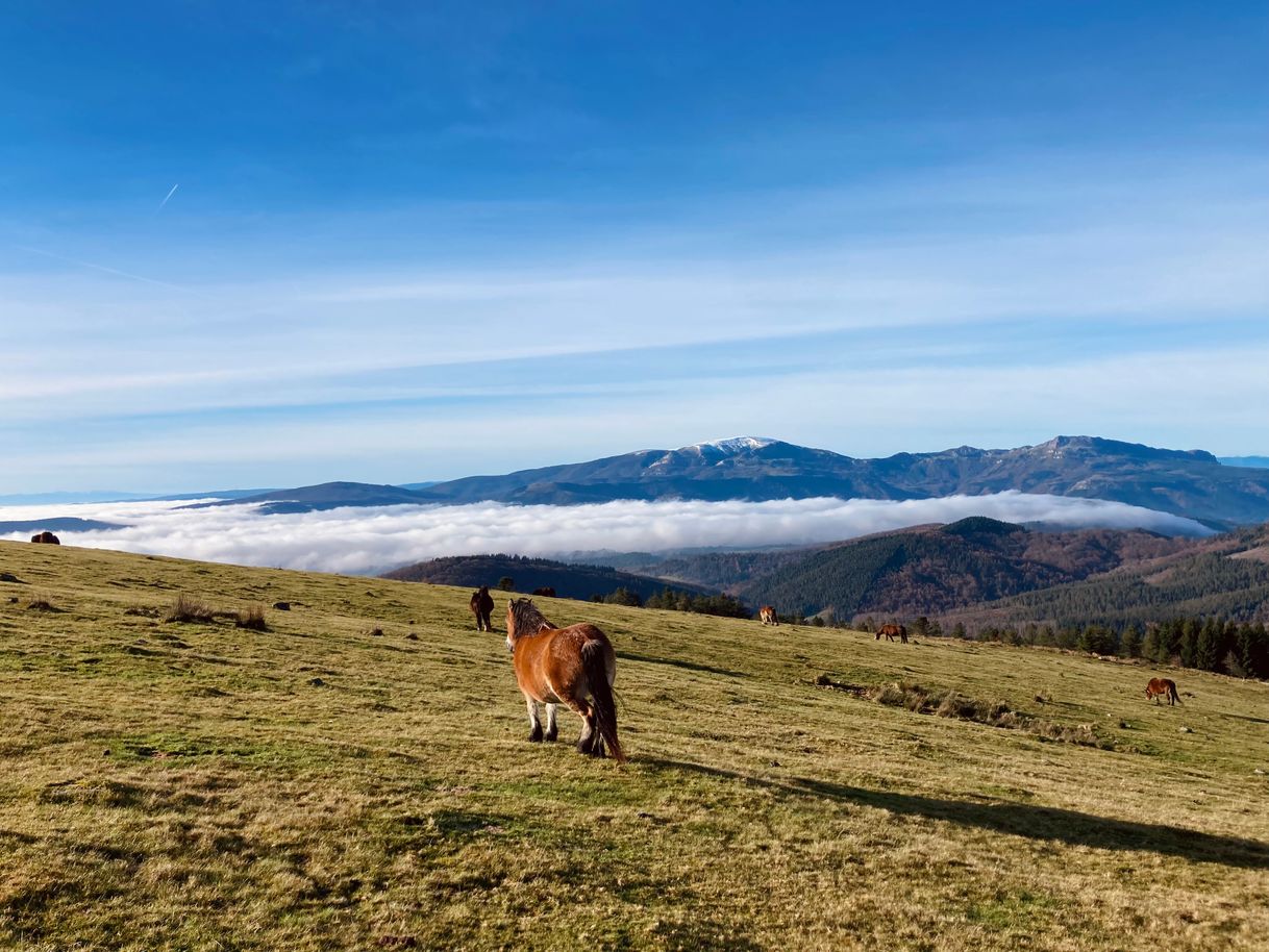 Lugares Urkiolagirre/Urkiolamendi