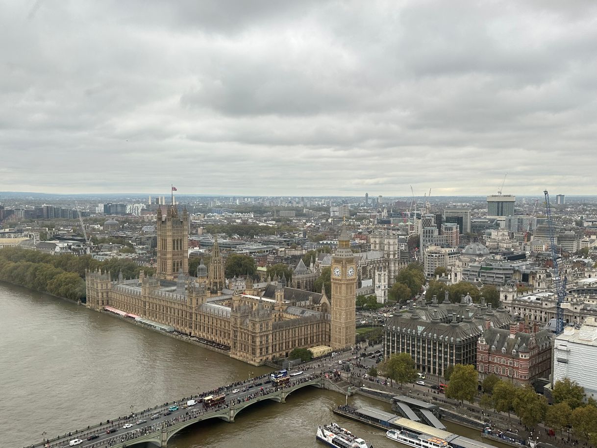 Place London Eye