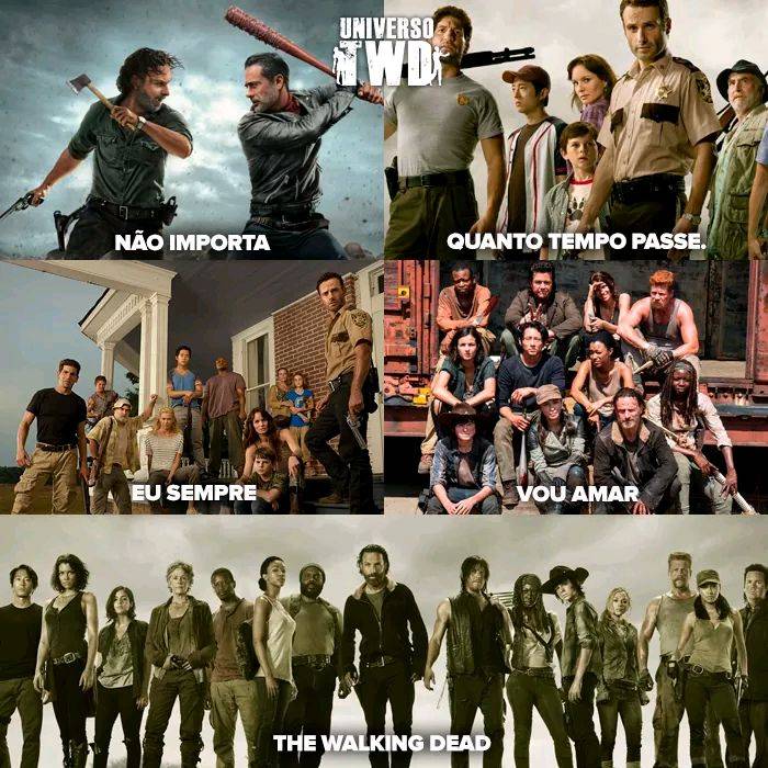 Moda TWD