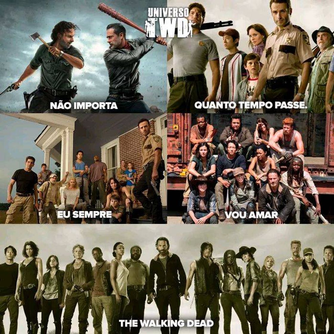 Moda TWD