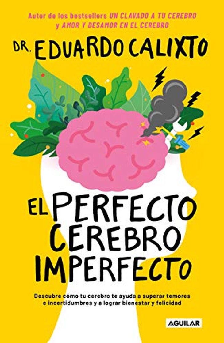 Book El perfecto cerebro imperfecto