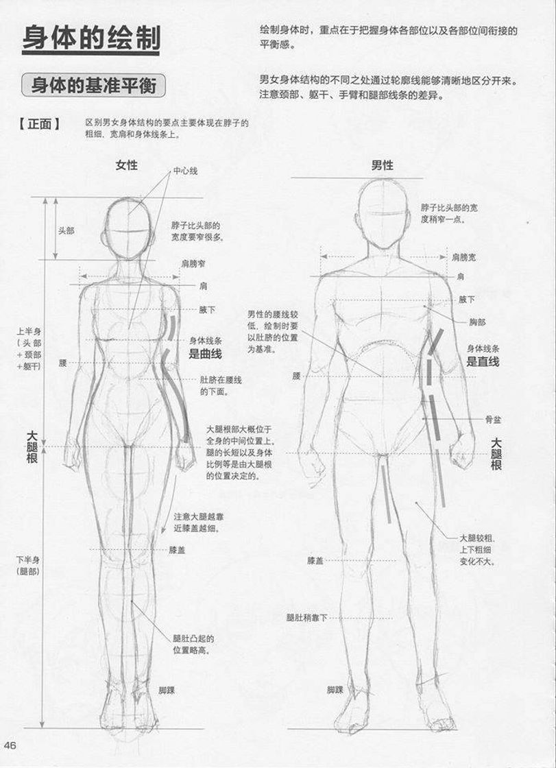 Moda Anatomia scketch / Anatomy sketch