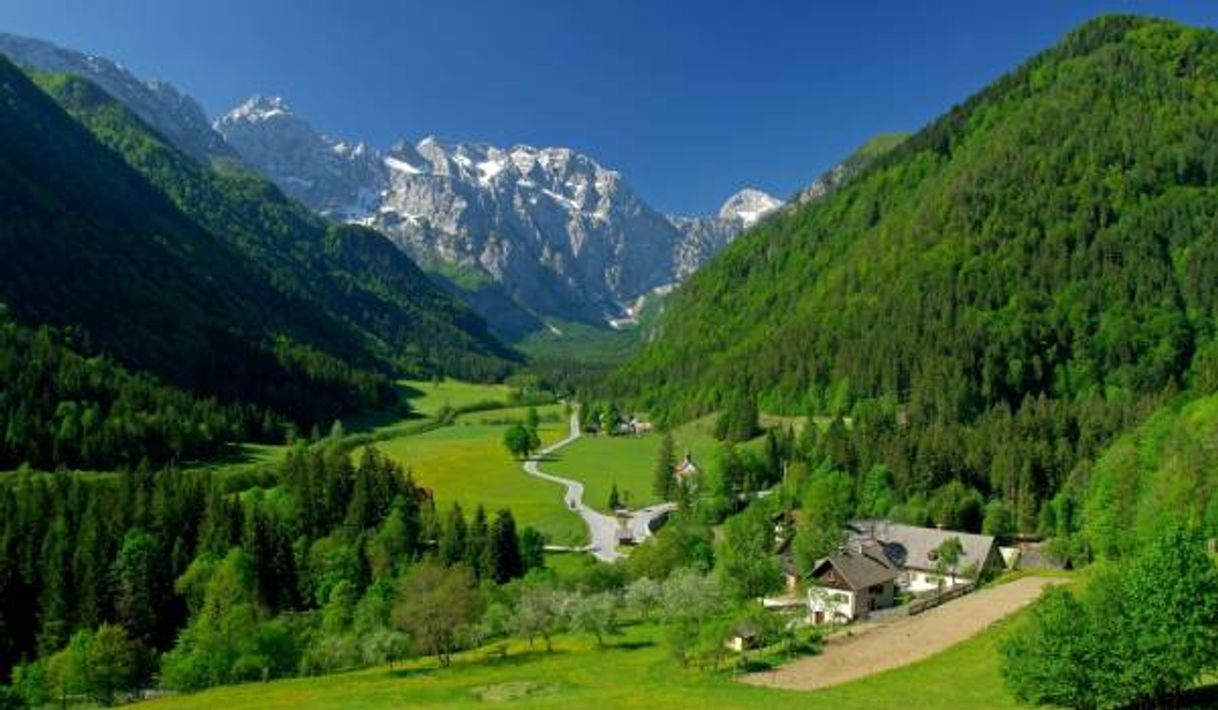 Lugar Logarska Dolina