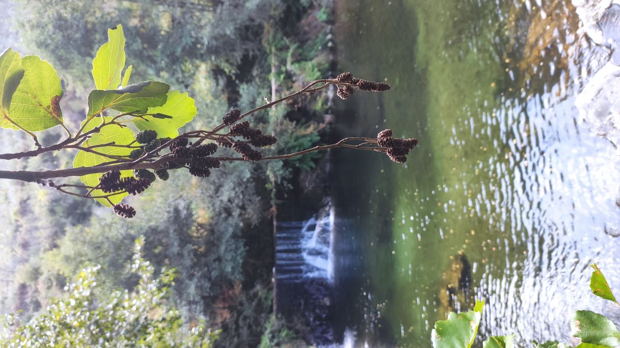 Lugar Açude do Candam