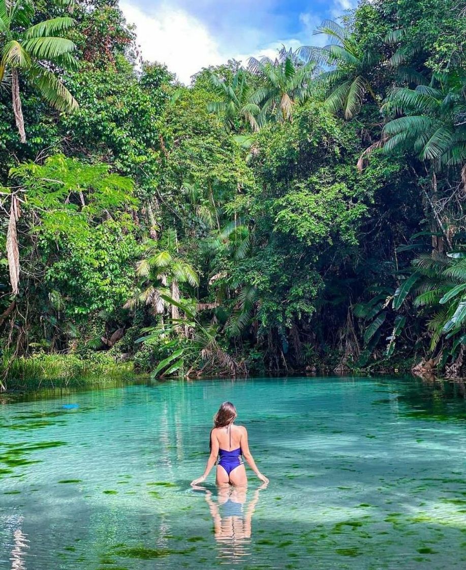 Restaurantes Lagoa Azul