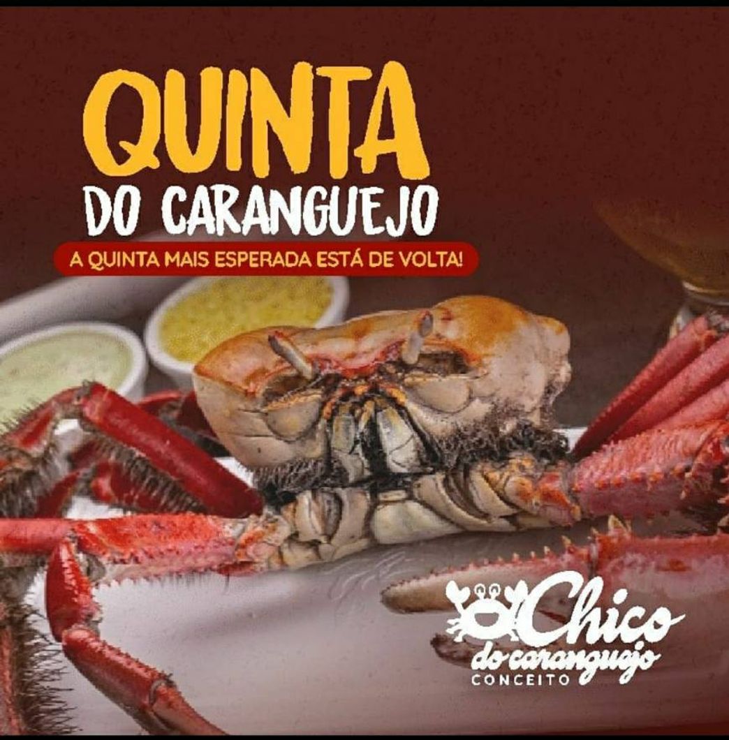 Restaurantes Chico do Caranguejo Conceito