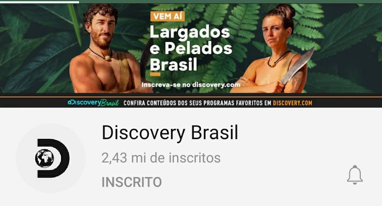 Moda Discovery Brasil