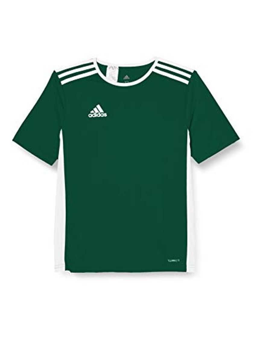 Fitness adidas Entrada 18 JSY Jersey, Hombre, Verde