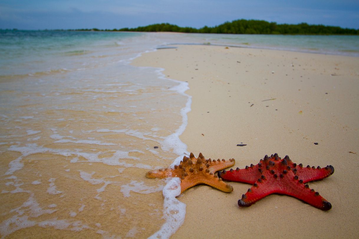 Lugares Starfish Island