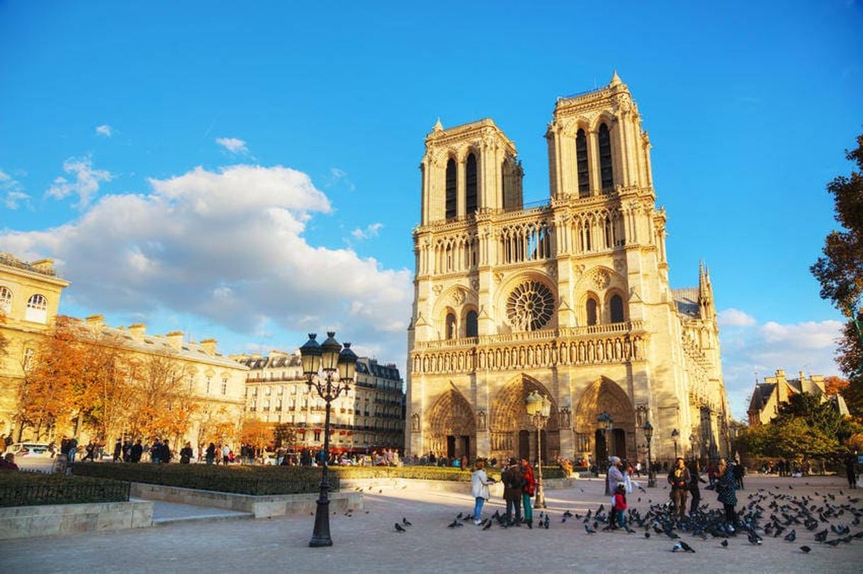 Place Catedral de Notre Dame
