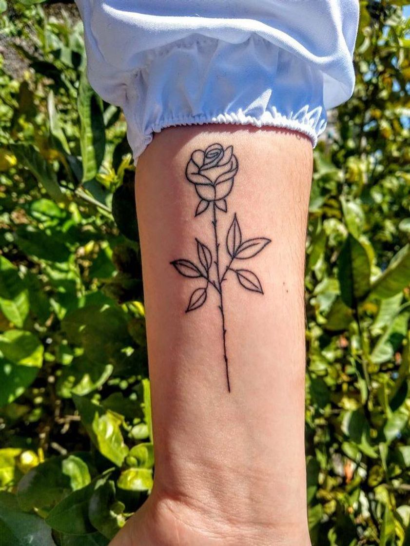 Moda Tatuagem de rosa 