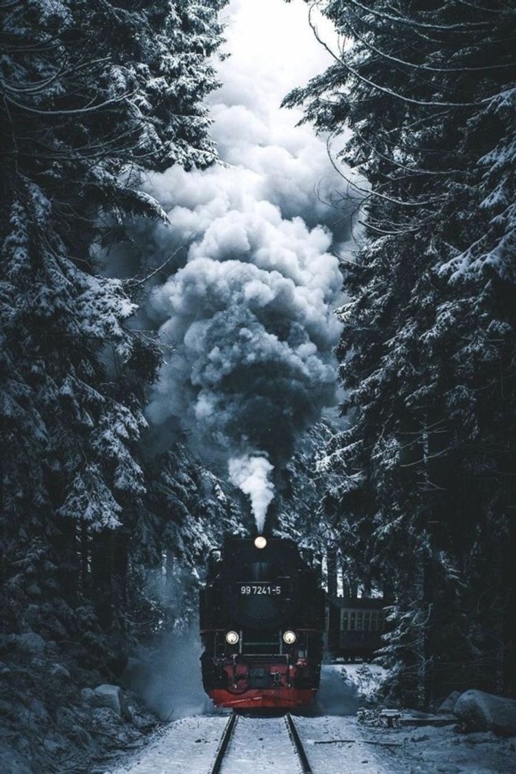 Social Train 