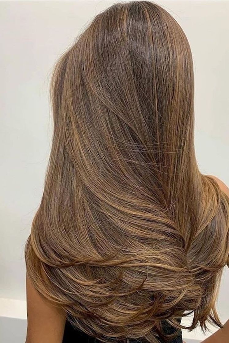 Social >corte de cabelo<