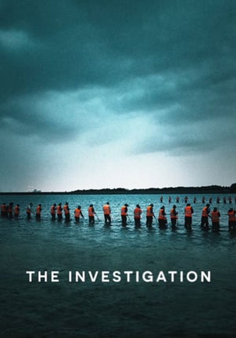 Serie The Investigation