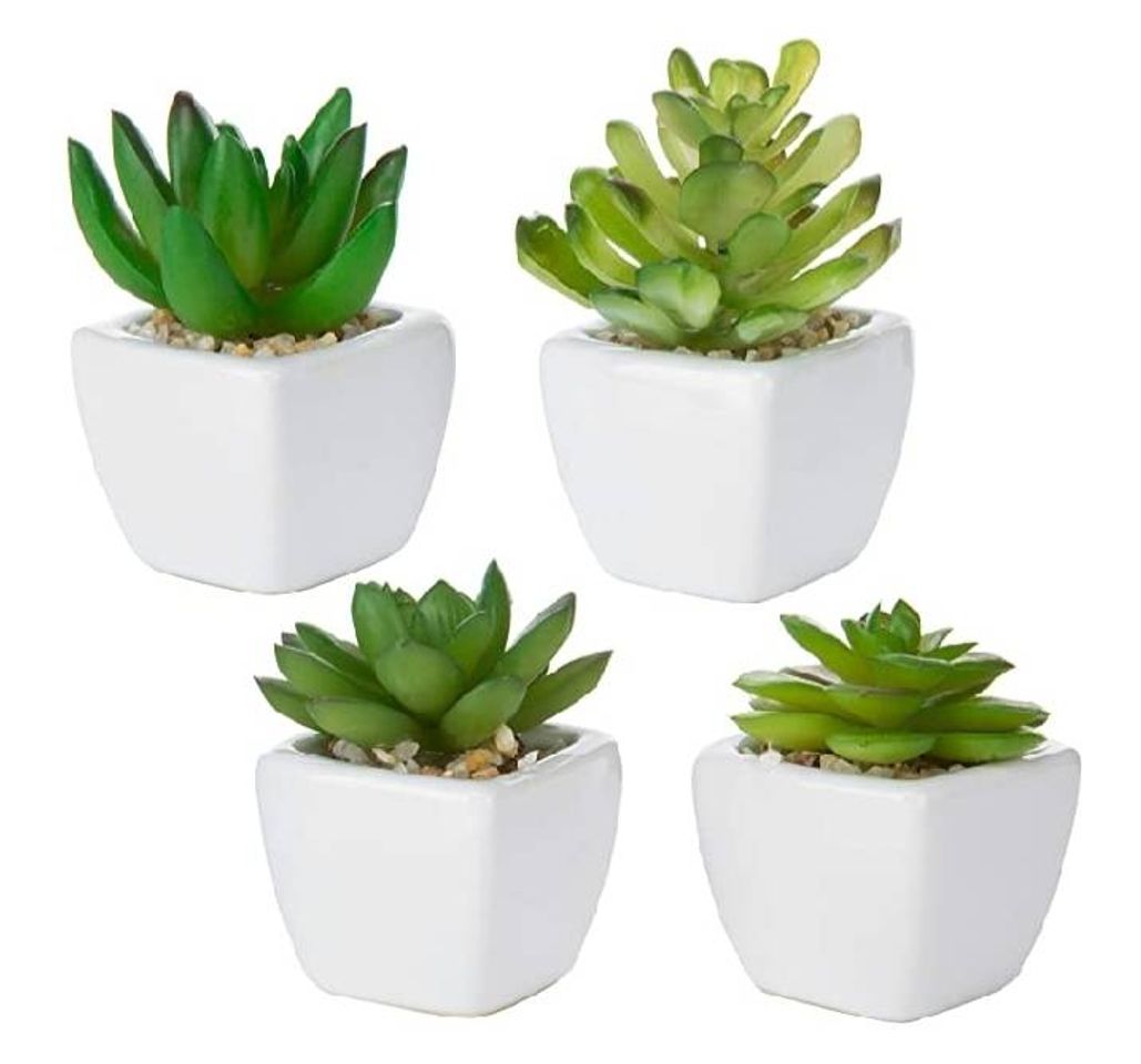 Plantitas de plastico