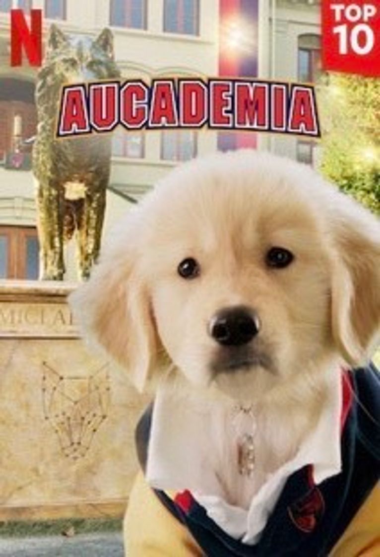 AUCADEMIA