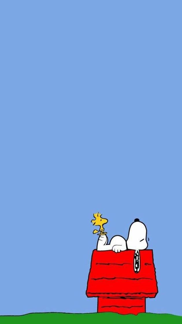 Social Snoopy🏠