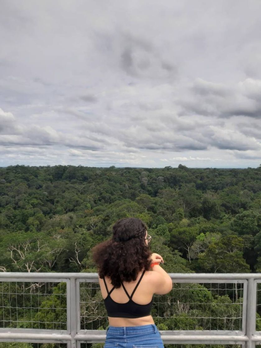 Place MUSA Museu da Amazônia