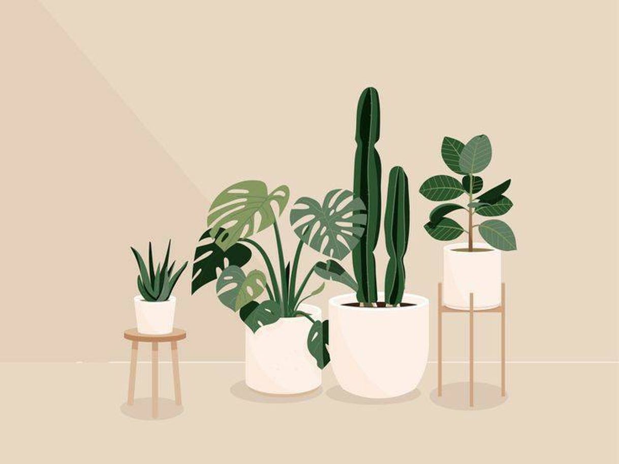 Fashion Wallpaper de plantas