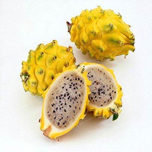 Shopvise pitaya amarilla Frutas Semillas 100 piezas