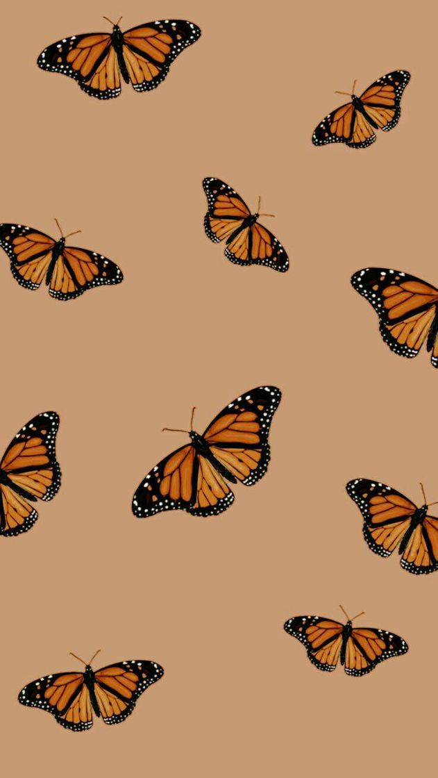 Moda Butterfly - Wallpaper