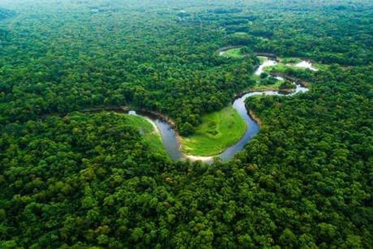 Moda Amazônia 