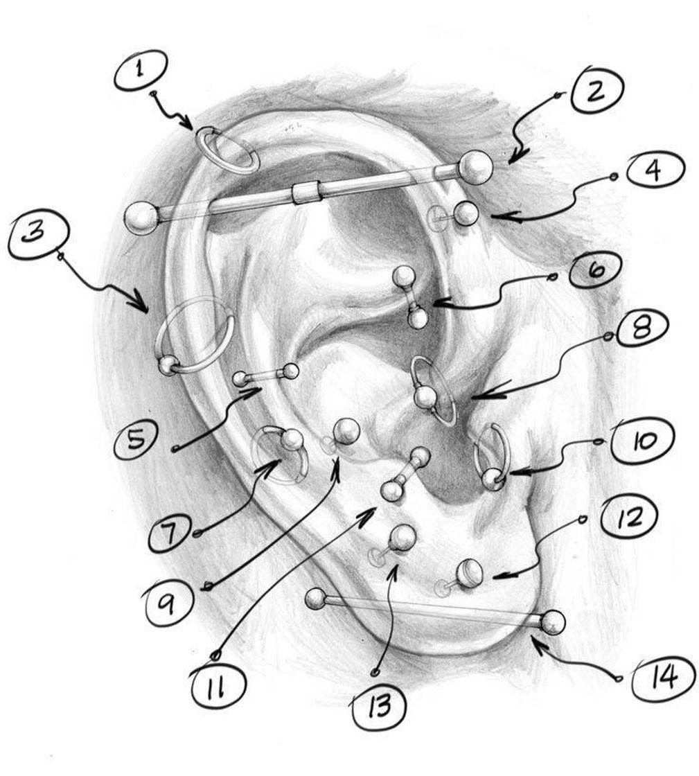 Moda Lugares Para Colocar Piercings