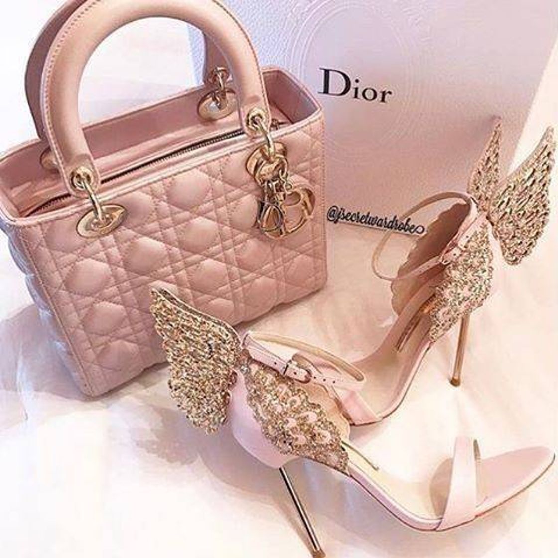 Fashion lady dior 👛