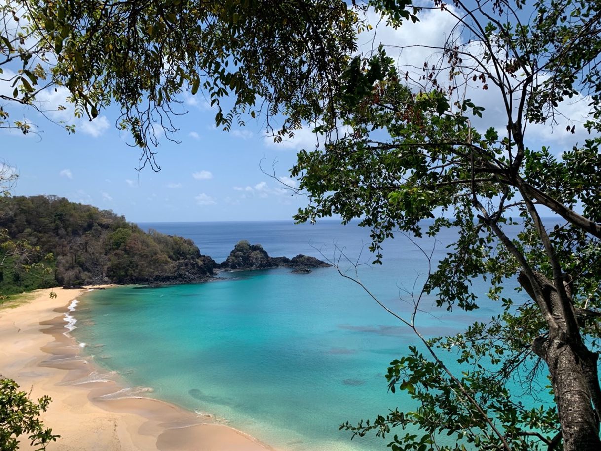 Place Ilha Fernando de Noronha