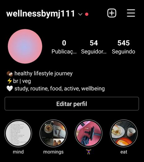 perfil wellness by mj
