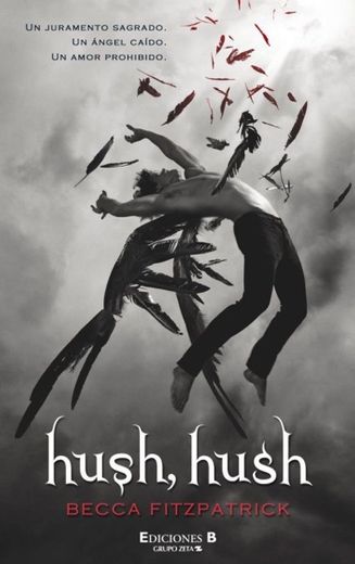 Hush hush book